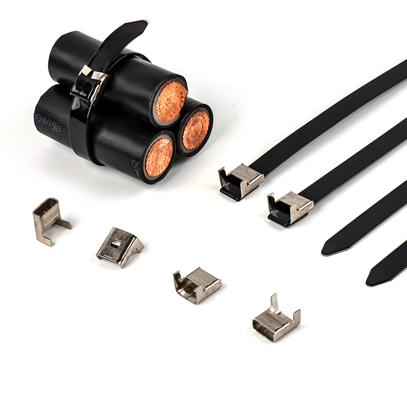 Roestvrijstalen PPA-gecoate band 15,9 mm breed